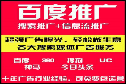 竞价排名的投放策略与效果评估案例